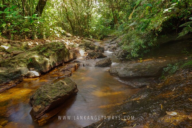 Knuckles Mountain Hiking - Who Will Enjoy This Hike Most?