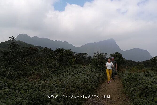 Knuckles Mountain Hiking - From Kandy to Fields and Forest