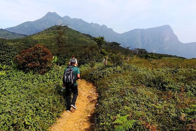 Knuckles Mountain Range Hiking and Trekking Day Tour From Kandy Hotels - Why the Knuckles Range is worth a full day