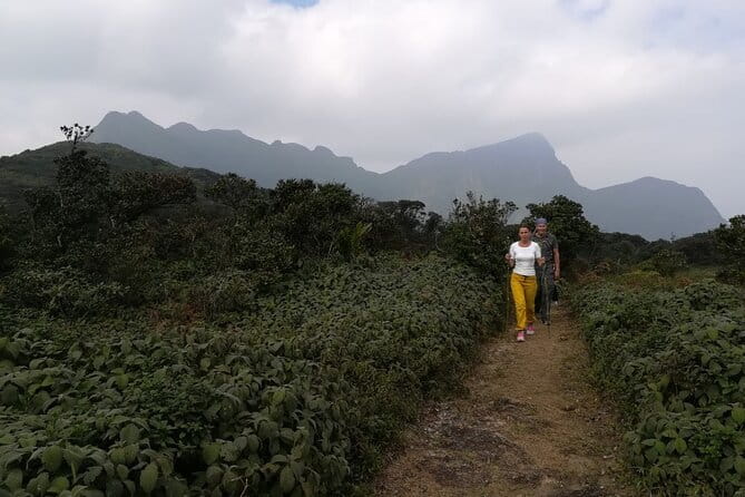 Knuckles Mountain Range Hiking and Trekking Day Tour From Kandy Hotels - The early jeep ride from Kandy