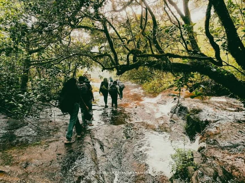 Knuckles Mountain Range: Kotaganga Waterfall Chain Hike - What makes this Knuckles hike worth your day