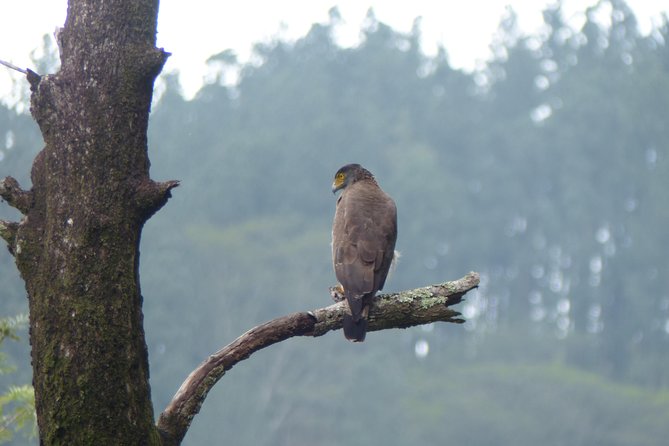 Knuckles Spice Trail Trek from Kandy - Why this day trip is different from a standard Kandy outing