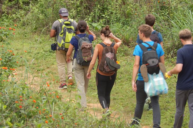 Knuckles Spice Trail Trek from Kandy - Tea plantations, forest paths, and useful plant lessons