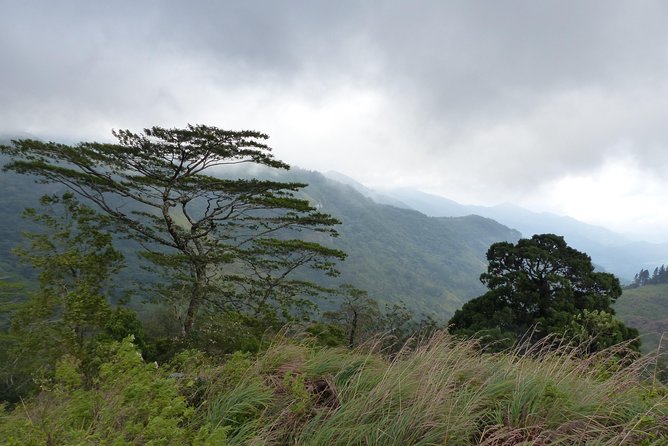 Knuckles Spice Trail Trek from Kandy - Rice terraces and the walk into village life