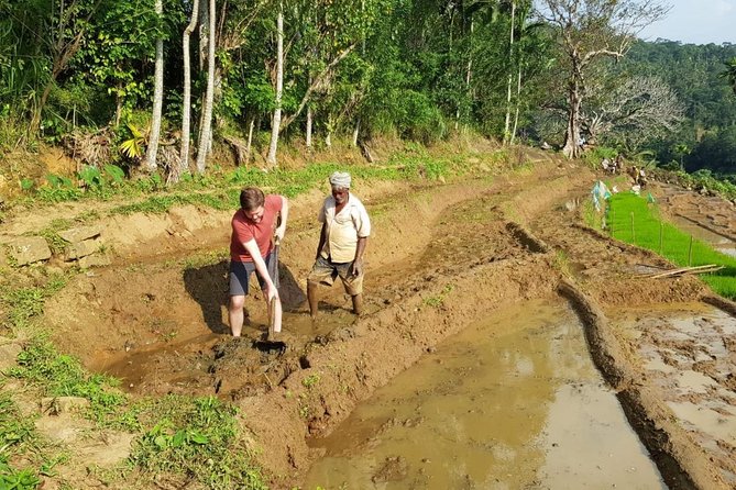 Knuckles Spice Trail Trek from Kandy - A fresh lunch with local character