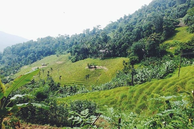 Knuckles Spice Trail Trek from Kandy - What the $101 price includes