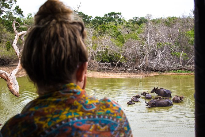 Kumana National Park Half Day Jeep Safari - Inside Kumana National Park: a broad wildlife search