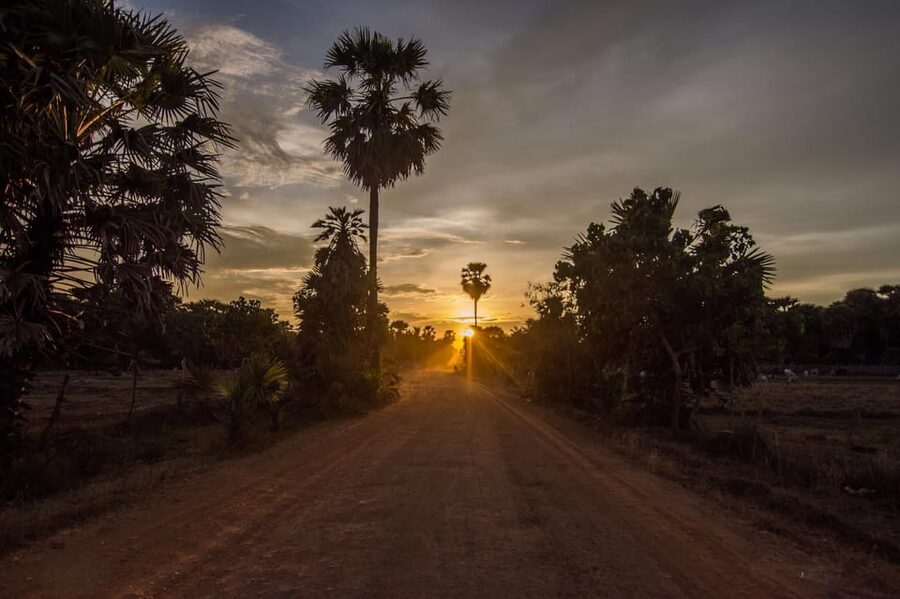 Kumana National Park Leopard Safari PRIVATE Tour - Comfort, timing, and who should skip it