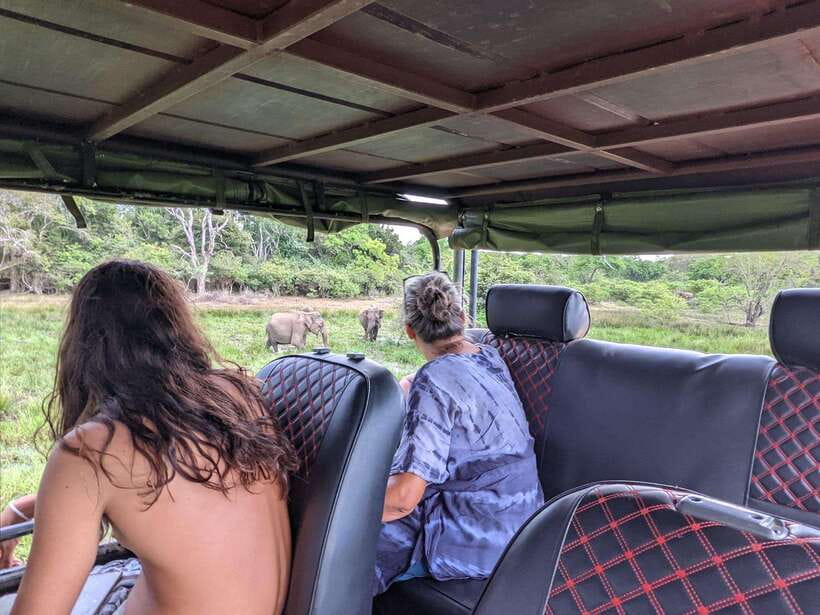 Kumana National Park : Morning or Afternoon Safari Tour - Kumbukkan Oya and the Park’s Wider Wildlife