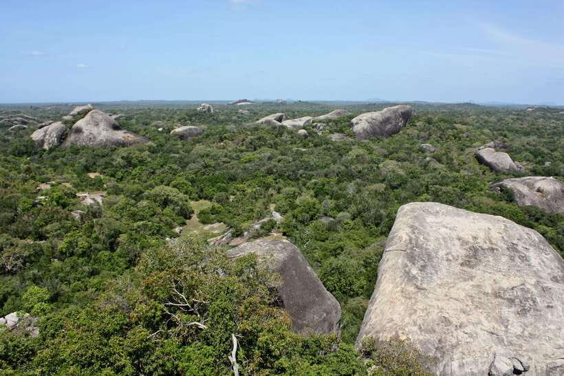 Kumana National Park : Morning or Afternoon Safari Tour - Weather, Clothing, and What to Bring