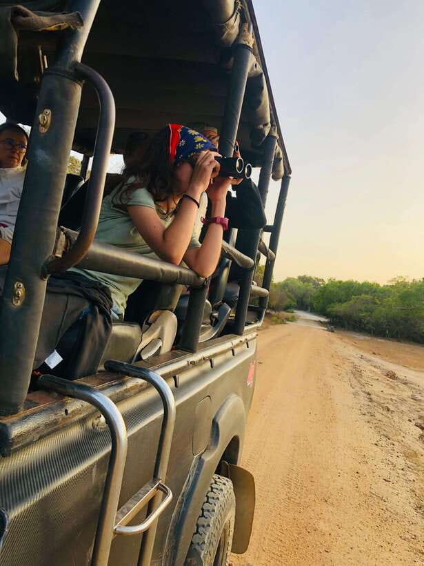 Kumana National Park : Private Half-Day Jeep Safari - Is $87 per person fair value?