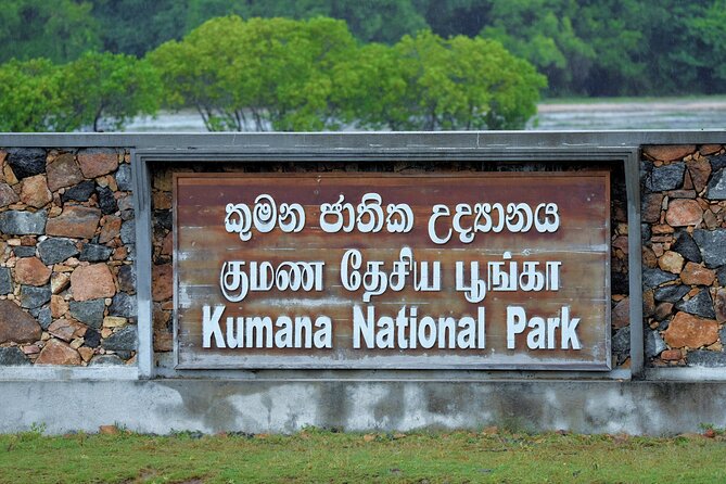 Kumana National Park Safari | from Arugam Bay - The six-hour route through swamplands and jungle