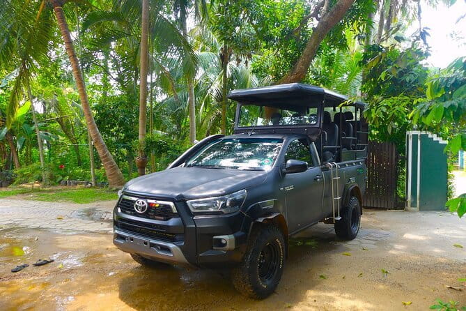 Leopard Half Day Yala National Park Eleven Safari - Animals beyond the big cat