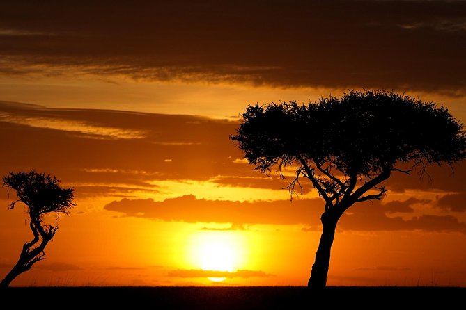 Leopard Safari Tour in Yala National Park - The drivers can define the whole day