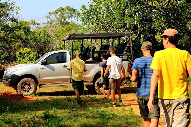 Leopard Safari Tour in Yala National Park - Breakfast, lunch, and the small comforts that matter