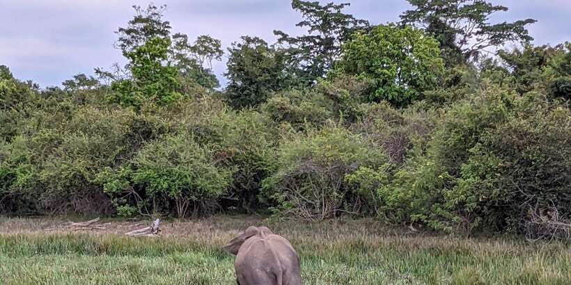 Lunugamvehera National Park Safari ( Yala Block V / VI ) - Why choose Lunugamvehera instead of the busiest Yala routes?