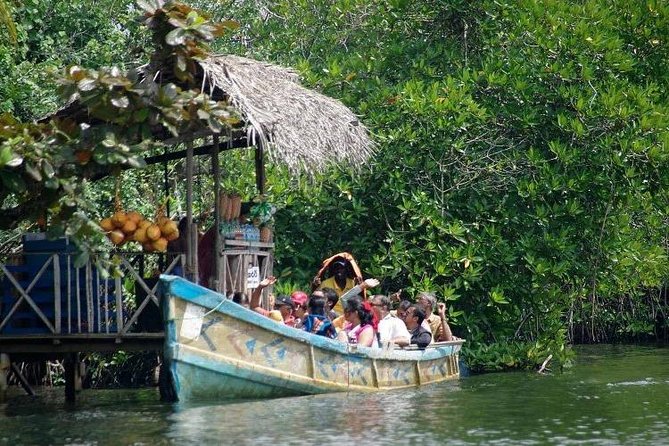 Madu River Boat Safari Balapitiya - Why the Madu River is worth your time