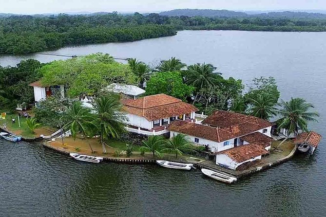 Madu River Boat Safari Balapitiya - The island temple adds a calm cultural stop