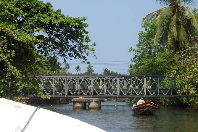 Madu River Boat Safari Balapitiya - A fish foot massage with a practical warning