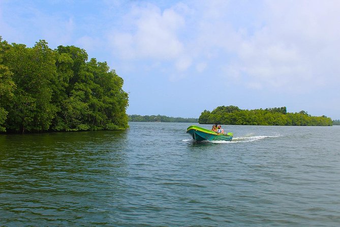 Madu River Boat Safari Balapitiya - Timing, meeting point, and group comfort