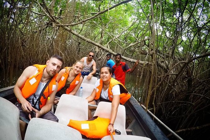 Madu River Boat Safari Balapitiya - What the two-hour boat ride feels like