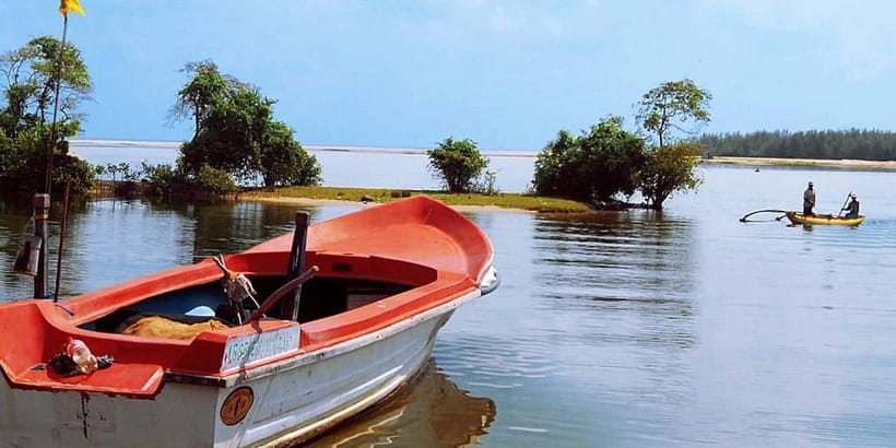 Madu River Boat Tour and Cinnamon Garden visit - Traditional Fishing Along the Shallows