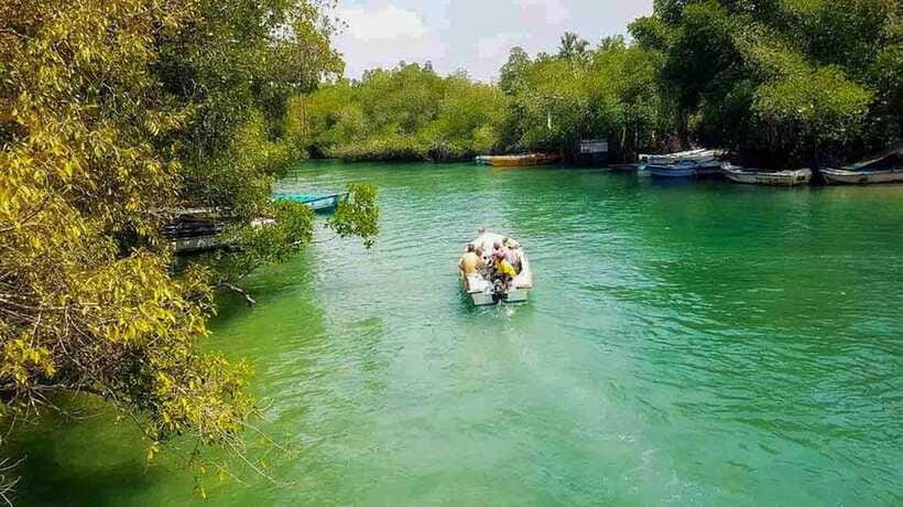 Madu River Boat Tour and Cinnamon Garden visit - The Island Temple and Optional Fish Massage