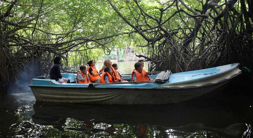 Madu River Boat Tour and Cinnamon Garden visit - What the Guide Adds, and Where It Can Fall Short