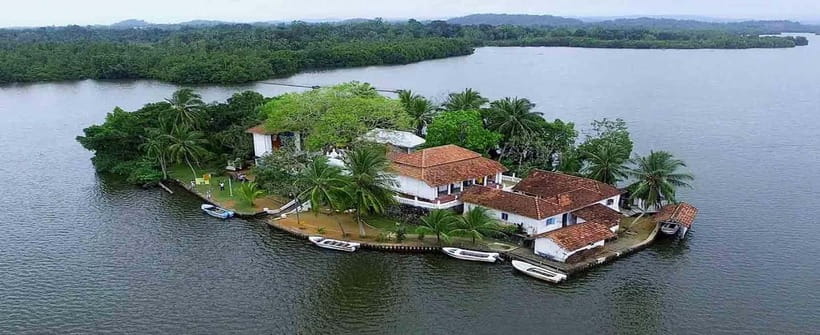 Madu River Boat Tour and Cinnamon Garden visit - Conservation: Enjoy the Mangroves With Care
