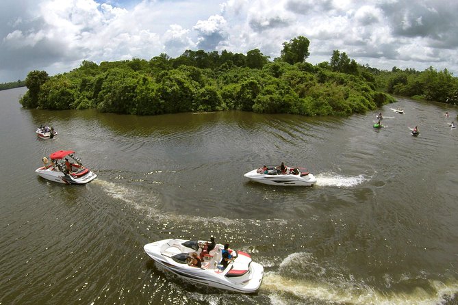 Madu River Safari at Balapitiya - Key points to know before you go