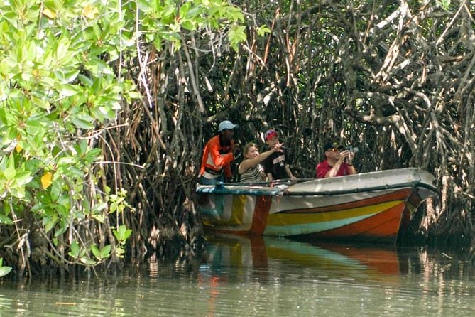 Madu River Safari at Balapitiya - What the Madu River Safari is really like
