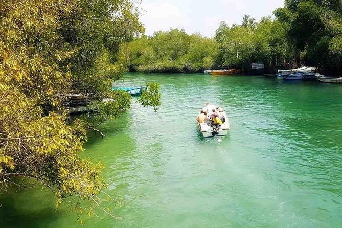 Madu River Safari at Balapitiya - Cinnamon Island brings the river to life