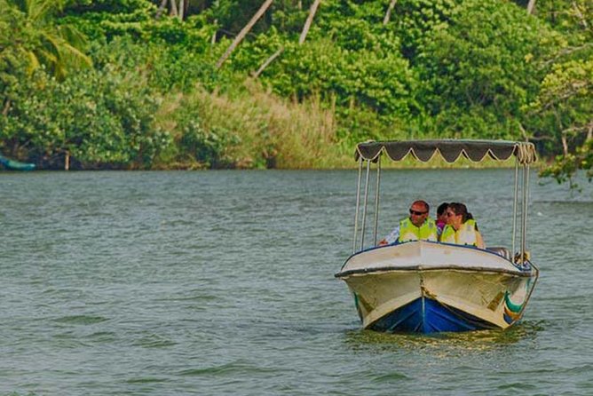 Madu River Safari at Balapitiya - Wildlife watching along the river