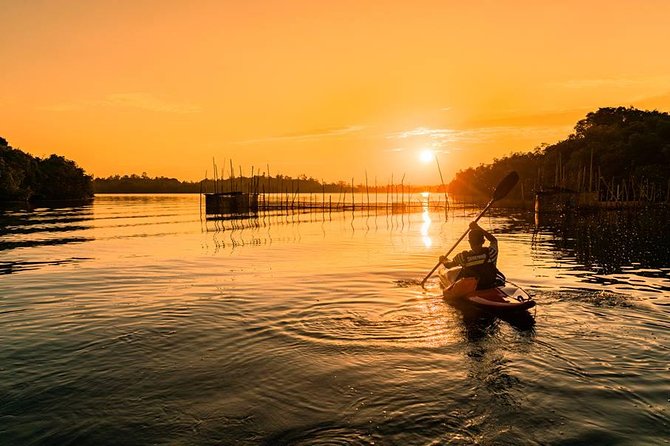 Madu River Sunrise Mangrove Kayaking - Key points to know before you book