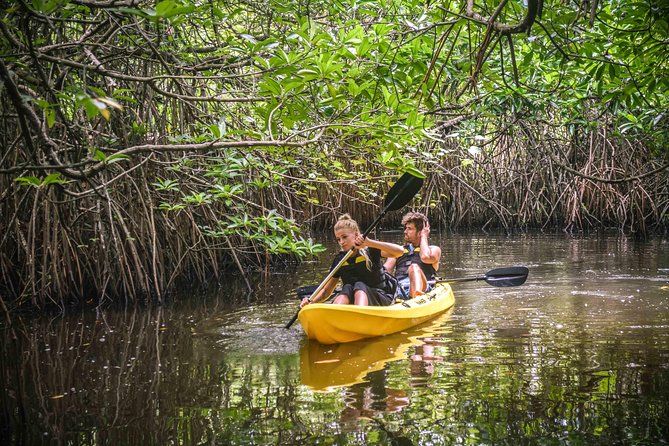 Madu River Sunrise Mangrove Kayaking - Who will enjoy this outing most?