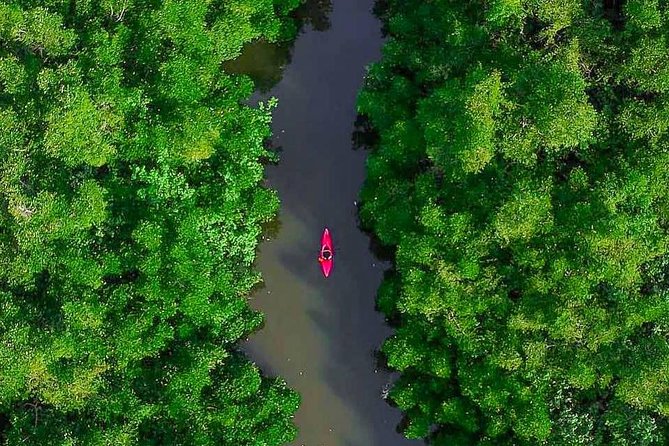 Madu River Sunrise Mangrove Kayaking from Bentota - Snacks on the river, but no full meal