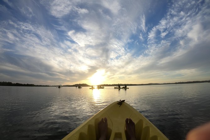 Madu River Sunrise Mangrove Kayaking from Bentota - Is $125 a fair price?