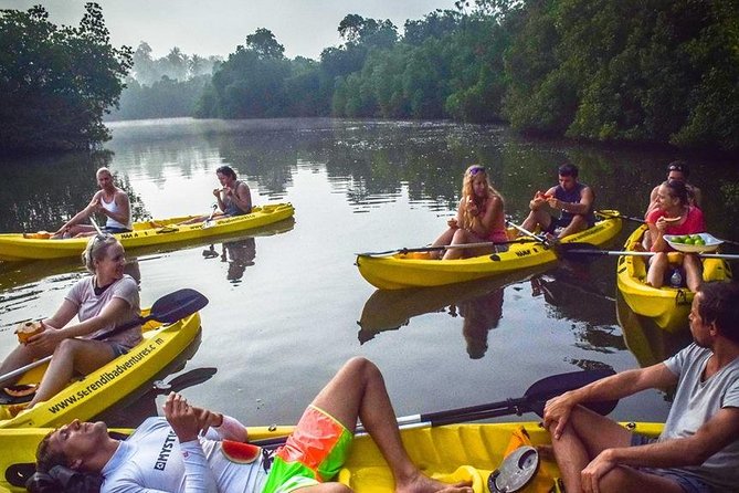 Madu River Sunrise Mangrove Kayaking from Bentota - Who will enjoy this morning most?