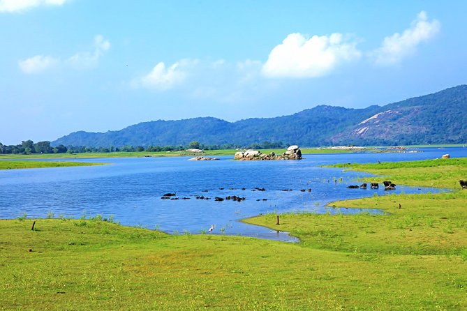 Maduru Oya National Park Private Safari with Naturalist - The 12-hour safari day