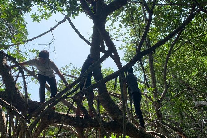 Mangrove Adventure - The private boat makes a difference