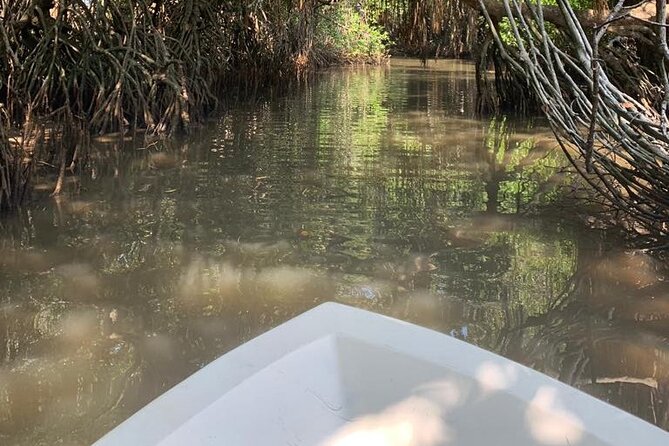 Mangrove Adventure - Practical timing, weather, and cancellation details