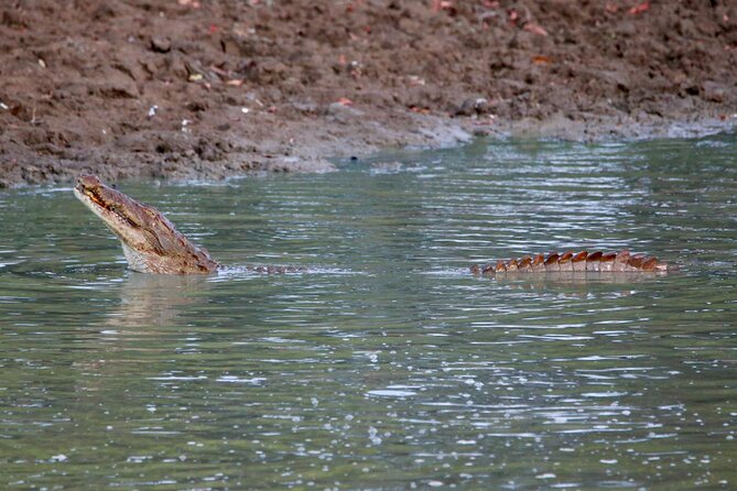 Minneriya Half Day Safari - What the $33 Price Really Covers