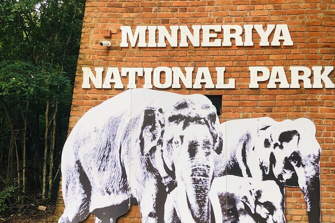 Minneriya Half Day Safari - Minneriya National Park and the Reservoir