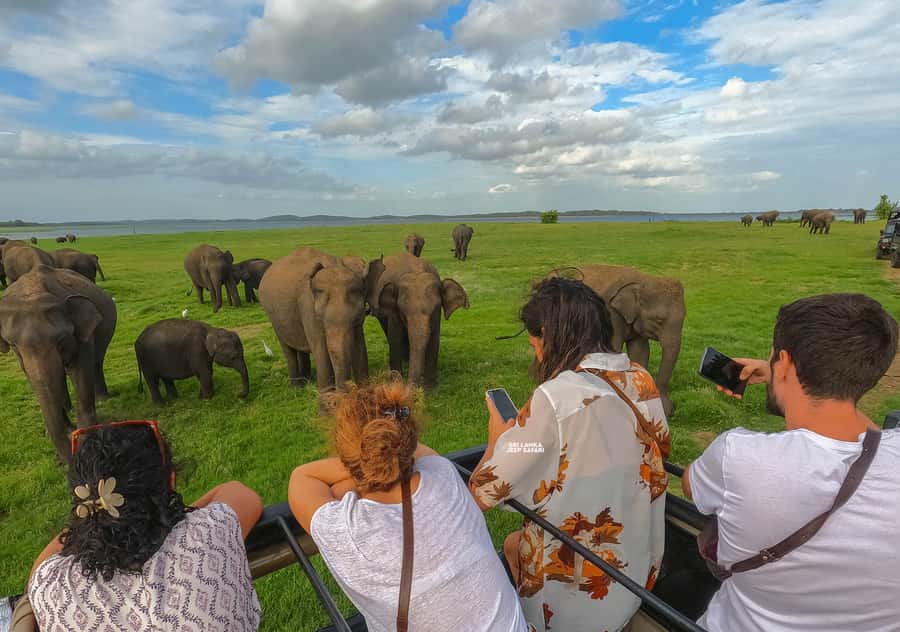 Minneriya: Minneriya National Park Private Elephant Safari - The famous elephant gathering