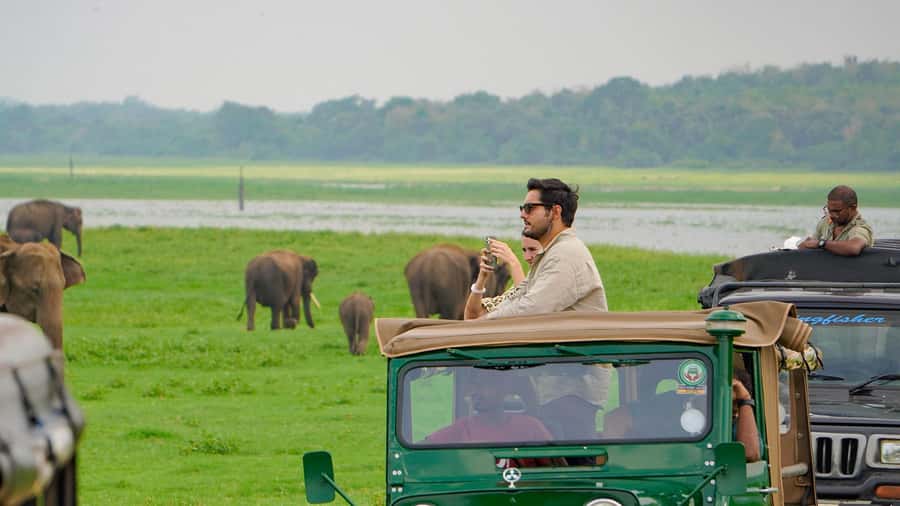 Minneriya: Minneriya National Park Private Evening Safari - What The Private Jeep Adds
