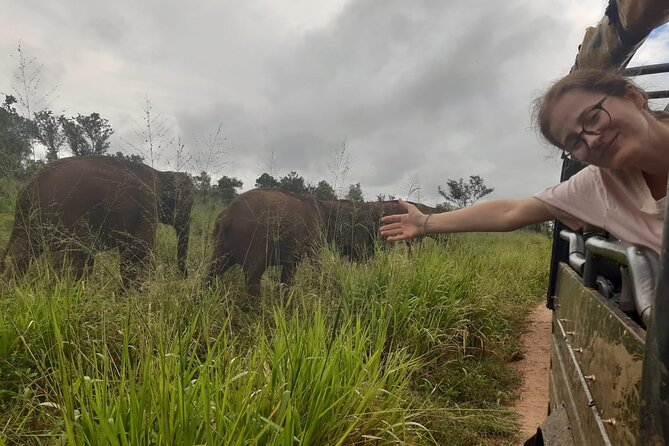 Minneriya National Park Elephant Jeep Safari Private Tour - Three parks, one practical wildlife decision