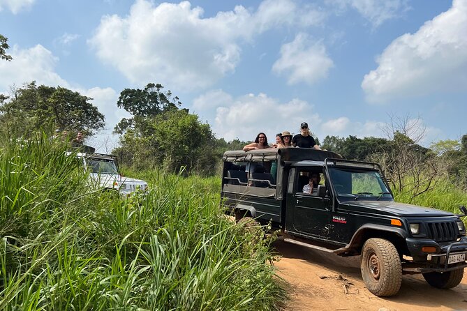 Minneriya National Park Elephant Safari from Sigiriya - Wildlife highlights and the family factor