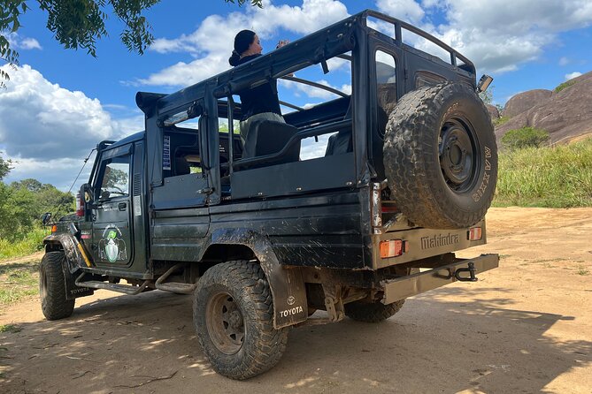 Minneriya National Park Elephant Safari from Sigiriya - Pickup from Sigiriya and the private jeep