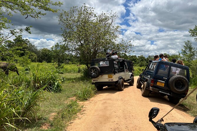Minneriya National Park Elephant Safari Tour - Minneriya, Hurulu, and Kaudulla: what each stop offers