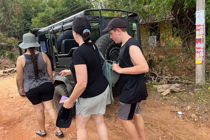 Minneriya National Park Elephant Safari Tour - Morning departure or afternoon safari?